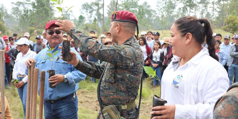 Realizan jornada de reforestación en Poptún