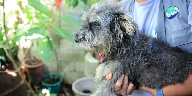 Rescate por maltrato