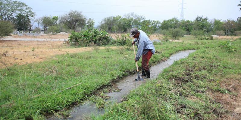 Riego por inundación