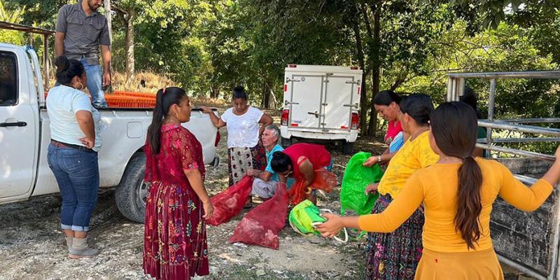 Se entregaron aves mejoradas en Petén