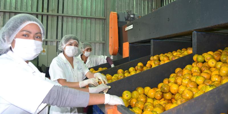 Un cítrico dulce rico en vitamina C