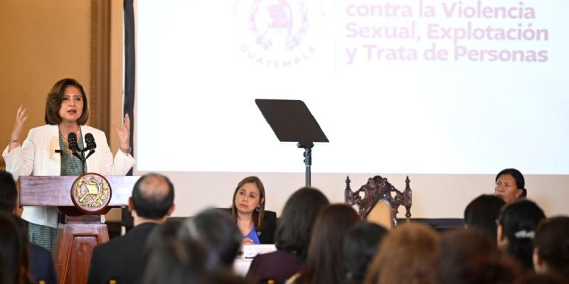 Vicepresidenta Karin Herrera