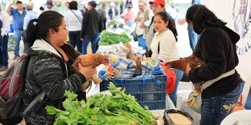 Estas son las próximas fechas de la Feria del Agricultor