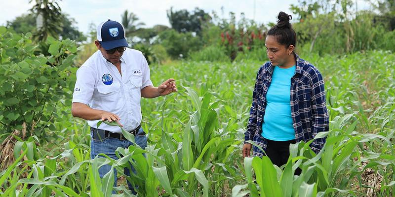 Estos son los requisitos para ser beneficiario del Seguro Agropecuario