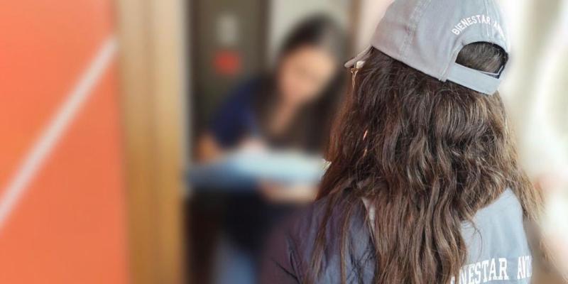 Caso del perro Terry: se desarrolla investigación para determinar sanciones