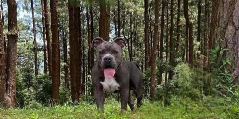 Caso Terry: denunciada debe pagar más de Q61 mil