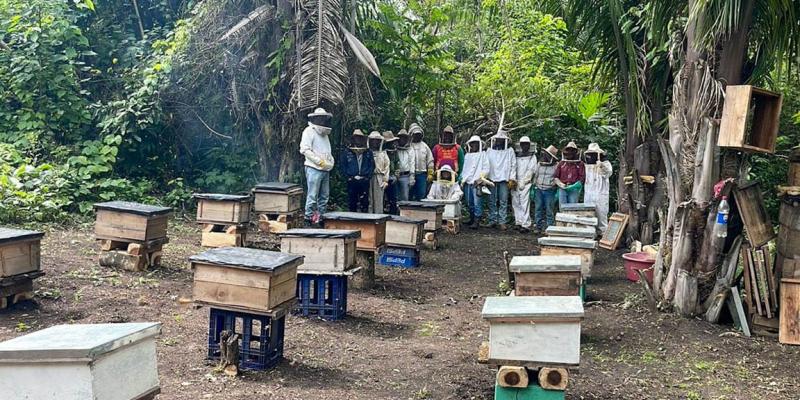 Entregan colmenas a apicultores de Sayaxché