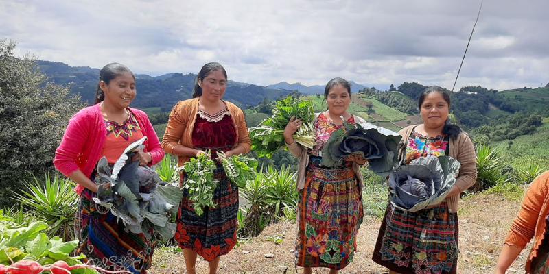 Estudiantes de Chimaltenango recolectan primera cosecha de hortalizas