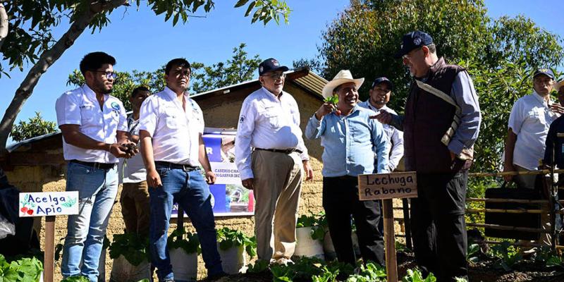 Implementan huerto familiar con la iniciativa Mano a Mano
