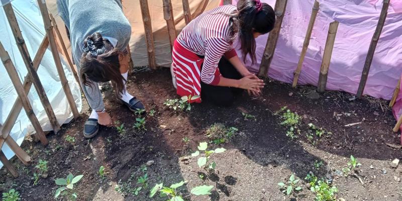 MAGA brinda asistencia técnica en Suchitepéquez