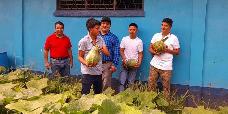 Monitorean y levantan cosechas de huertos escolares