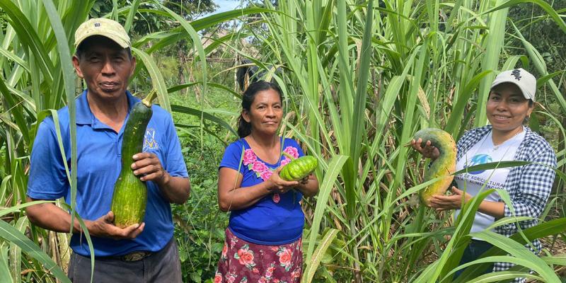 Ofrecen jornada de asistencia técnica para Huertos Familiares en Poptún