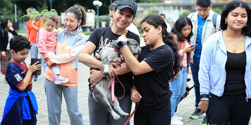 Realizan actividades para crear conciencia acerca de la resistencia a los antimicrobianos