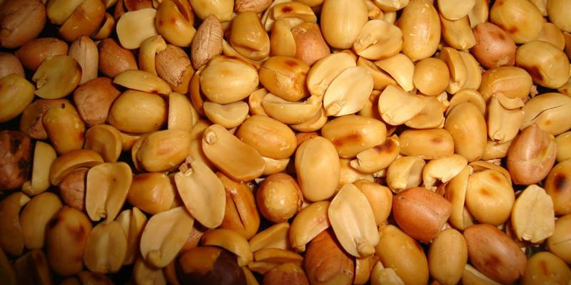 Una semilla que en todo el mundo se consume