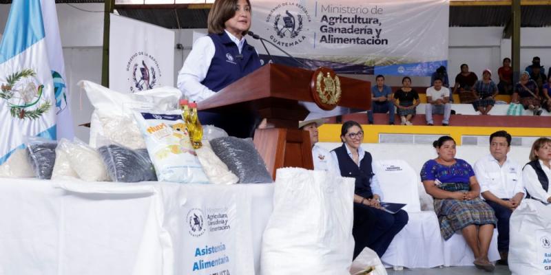 Vicepresidenta Karin Herrera