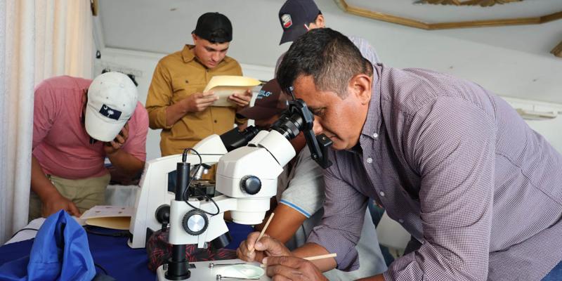 Capacitación para control de plaga del Trips en cultivo de frijol