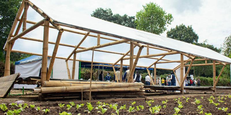 Conozca qué es la Casa Maya