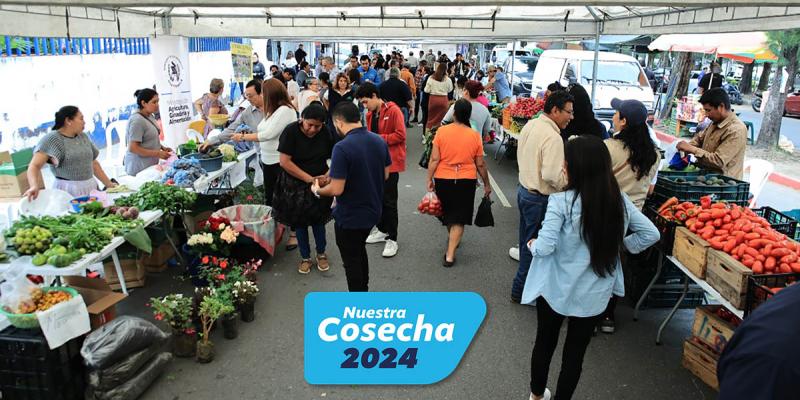 La mesa de los guatemaltecos se llenó de productos frescos gracias a la Feria del Agricultor 