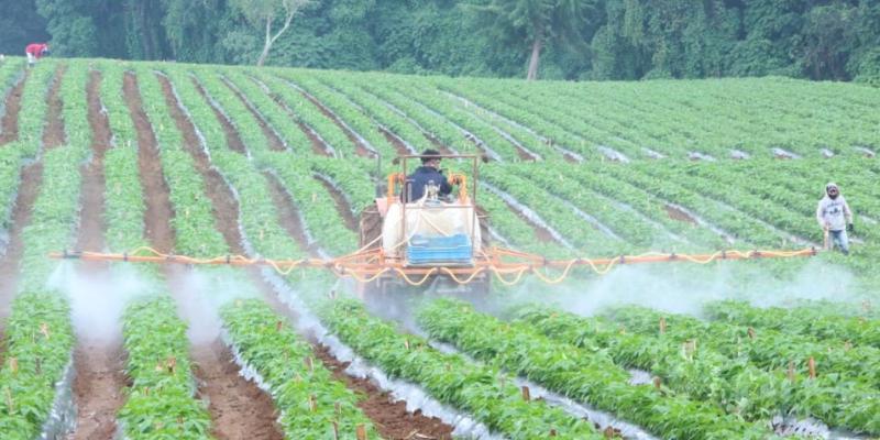El uso de los biocombustibles en la agricultura