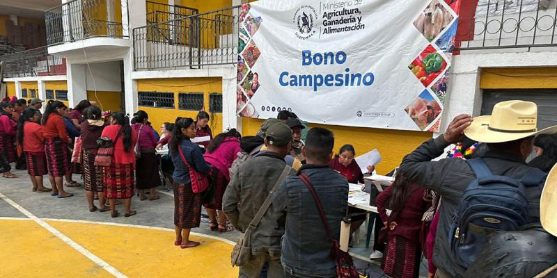 Bono Campesino fortalece agricultura familiar en respuesta a la iniciativa “Mano a Mano”