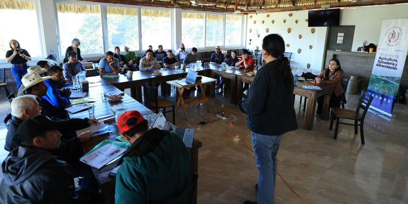 Brindan capacitación en temas de mercadeo a caficultores de El Progreso y Jalapa