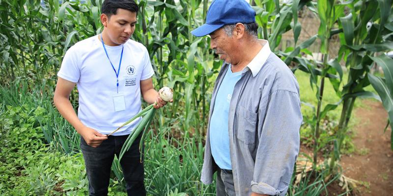 Convocatoria Abierta para el programa Jóvenes Apoyando El Extensionismo Rural: Campesino A Campesino