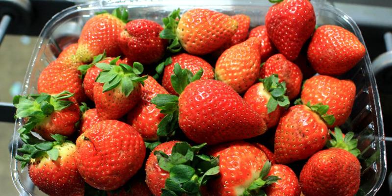 Conozca los alimentos para mejorar su salud