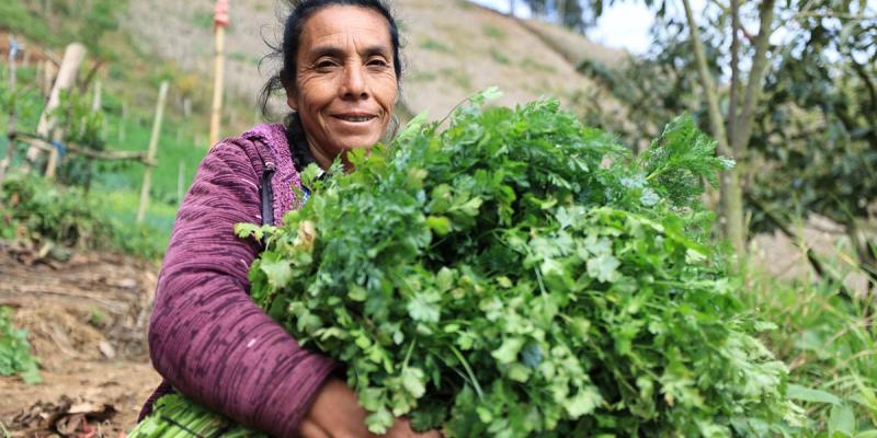 Crédito Tob’anik contará con seguro agrícola