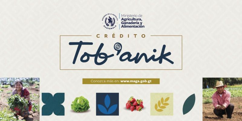 Crédito Tob’anik será un apoyo clave para las y los agricultores en 2025