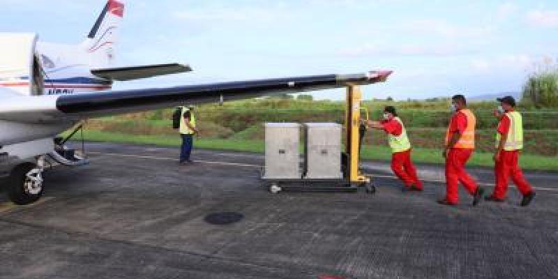 Dispersan 45.2 millones de moscas estériles del Gusano Barrenador del Ganado