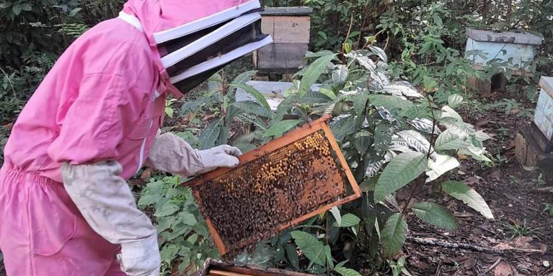 En Poptún brindan asistencia técnica en apicultura