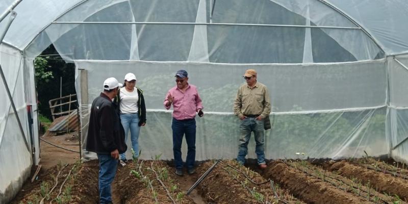 Tecnifican procesos de floricultores de San Marcos