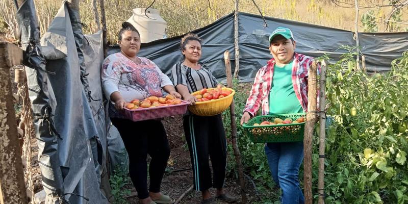Fortalecimiento a la producción agrícola sostenible en Obraje Cruz