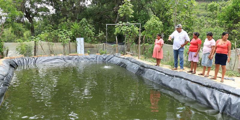 La piscicultura es clave para la seguridad alimentaria y el desarrollo económico