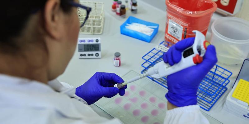 Laboratorio de Sanidad Animal trabaja en la detección del Gusano Barrenador del Ganado