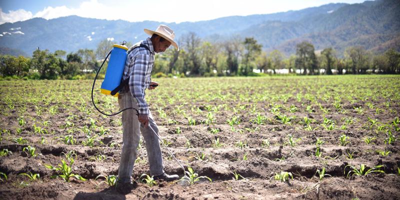 Nutrir y proteger a las plantas