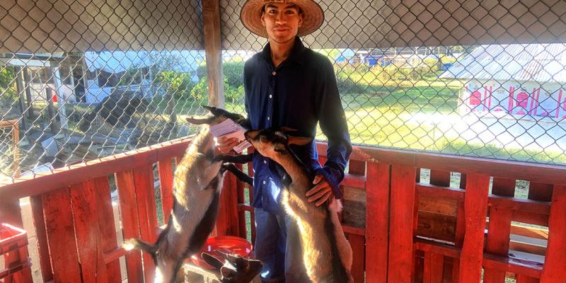 Protección de animales pecuarios durante la temporada de frío