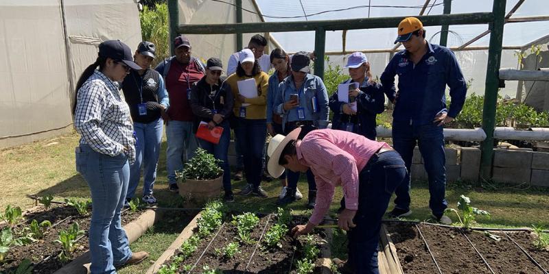 Proyecto "Huerto en el Hogar" iniciará en Escuintla 