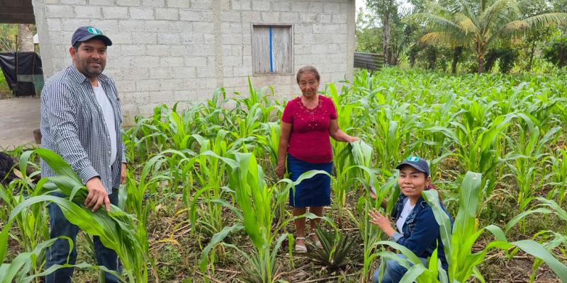 Proyectos de asociación de cultivos para mejorar la seguridad alimentaria