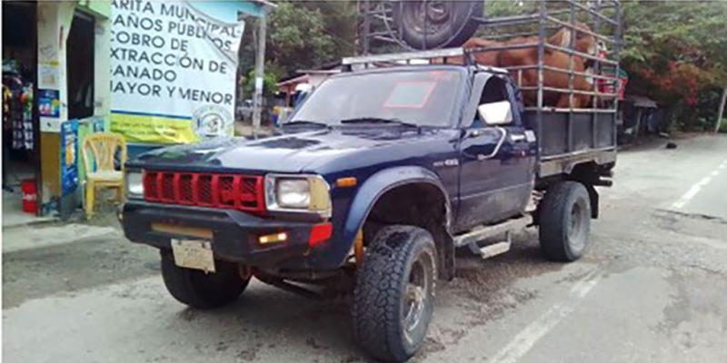 Puestos de Control inspeccionan más de 19 mil animales 