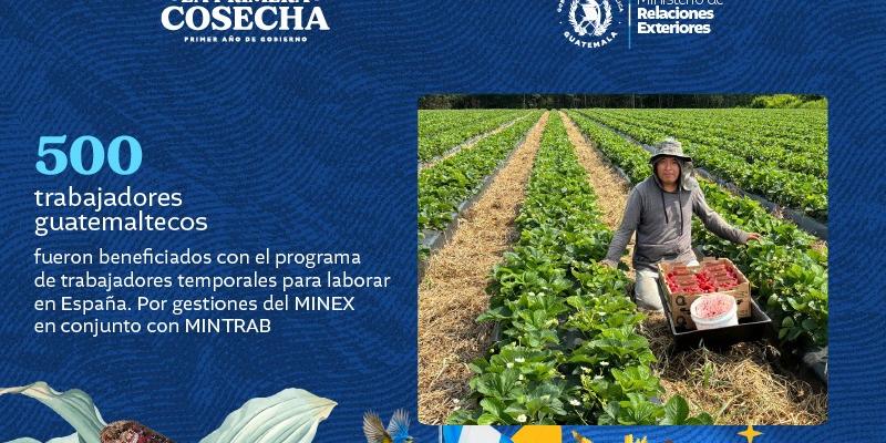 comunicado del Minex