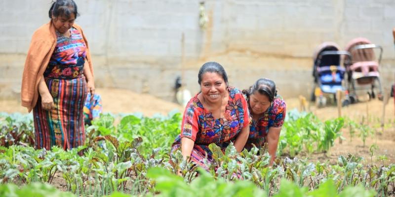 ¿Quiénes pueden ser beneficiarios del Crédito Tob’anik?