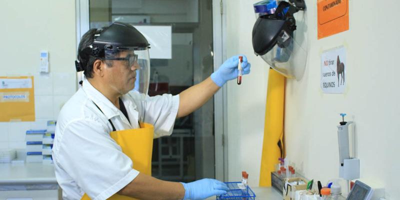 Velando por la sanidad animal