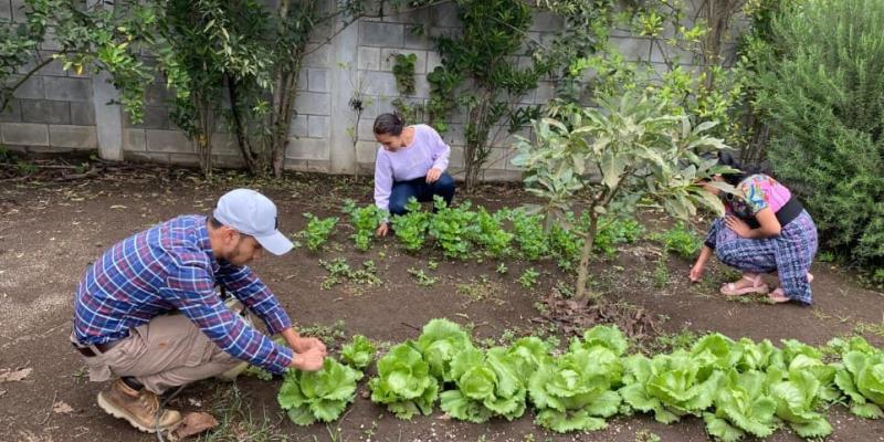 Campesino a Campesino: fomentamos el servicio cívico juvenil