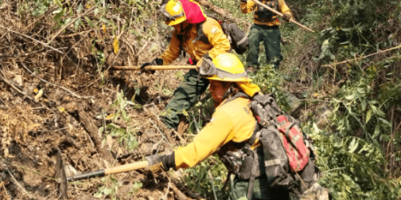 Acciones combate de incendios