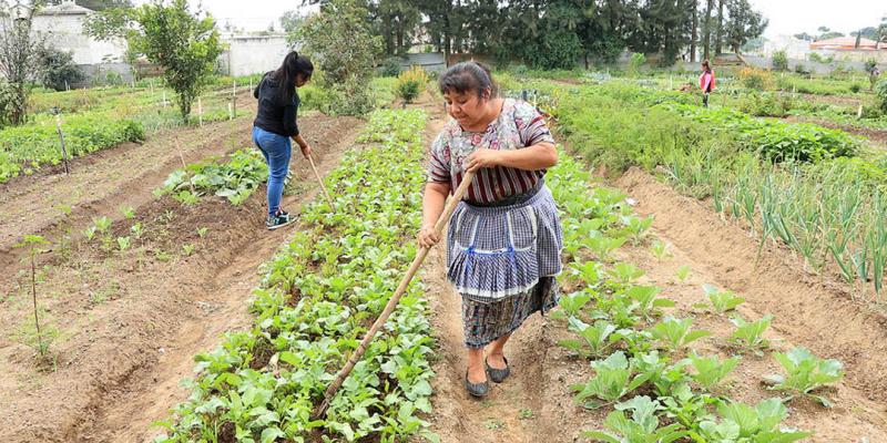 ¿Qué es la agricultura familiar?