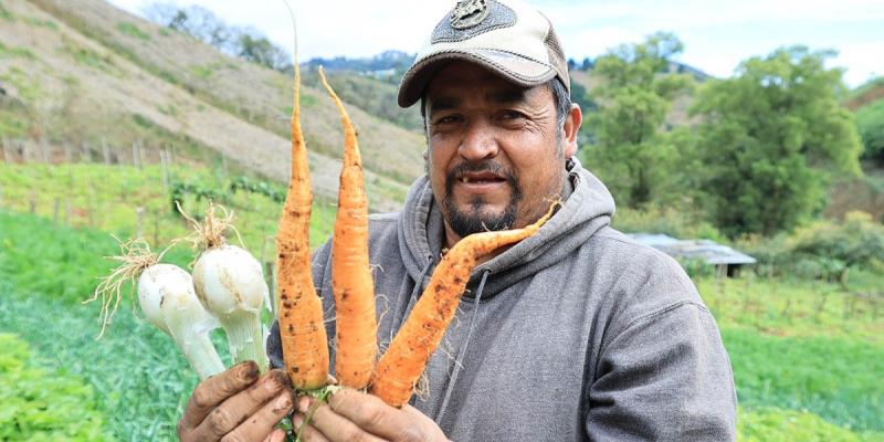 Así contribuirá el Crédito Tob’anik a una mejor calidad de vida de los agricultores 