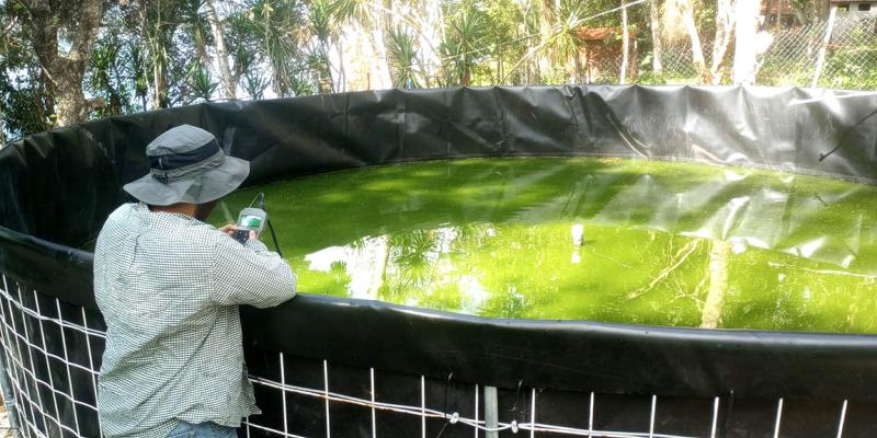 Asistencia técnica permite optimizar la producción acuícola