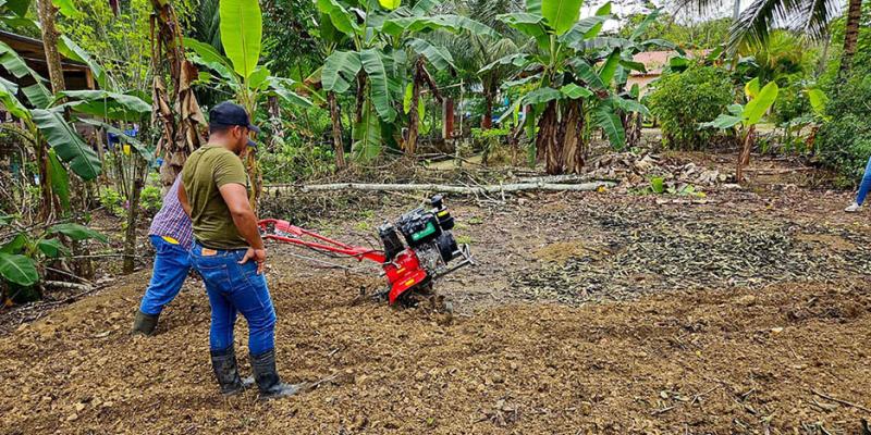 Brigada agrícola apoya el establecimiento de parcela de sandía en San Luis