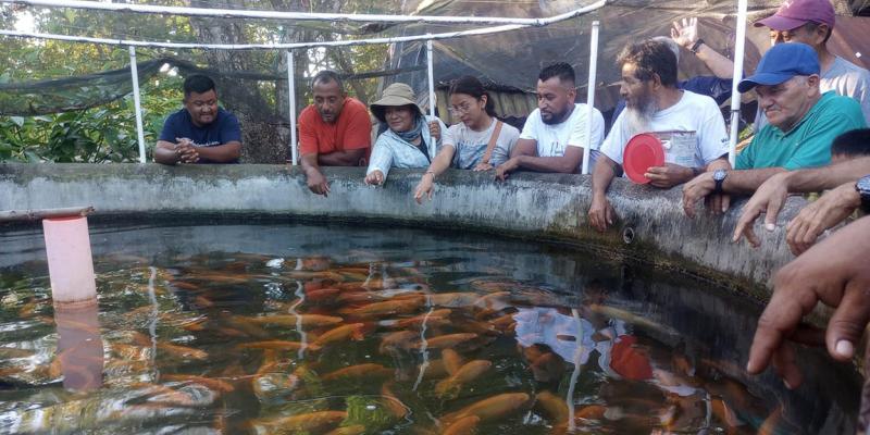 Capacitan a productores de Petén en sistemas de cultivo de tilapia